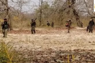 Untitled design (63)