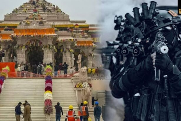 Untitled design (66)