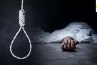 Untitled design (74)