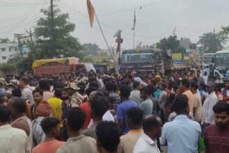 Untitled design (79)