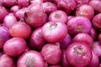 government-monitoring-onion-price-rise-imc-meeting-stock-limit-possible