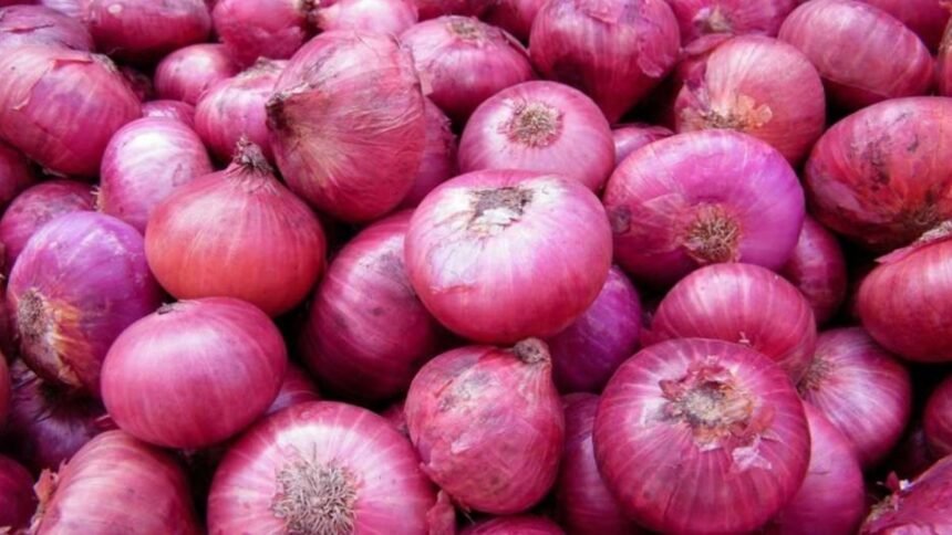 government-monitoring-onion-price-rise-imc-meeting-stock-limit-possible