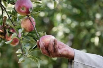 Untitled design (82)