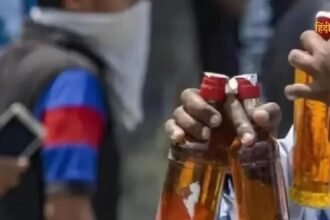 Untitled design (86)