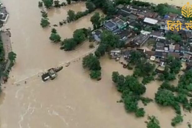 Untitled design 88 Chhattisgarh News: