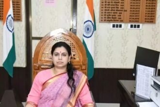 dm-divya-mittal-family-road-accident