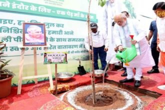 Untitled design (90)