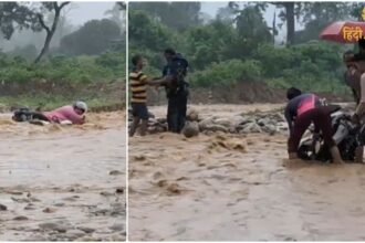 Untitled design (96)