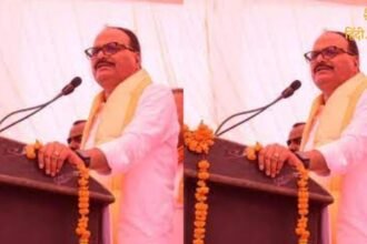 Untitled design (98)