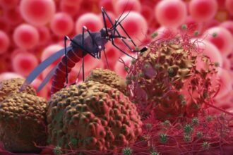 Zika Virus 6 people including two pregnant women infected in Pune