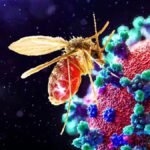 Gujarat: What is the Chandipura Virus? How Did This Dangerous Virus Get Its 'Desi' Name?