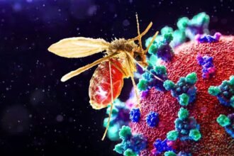 Gujarat: What is the Chandipura Virus? How Did This Dangerous Virus Get Its 'Desi' Name?