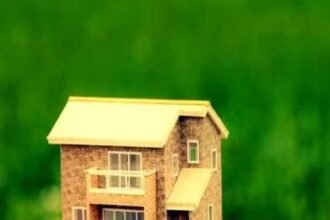 lakshmi maa became angry due to these works at home