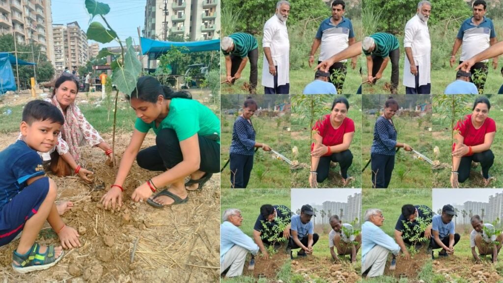 _rajnagar-extension-environment-conservation-neem-peepal-plantation