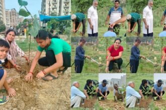 _rajnagar-extension-environment-conservation-neem-peepal-plantation