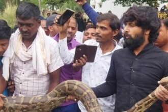 अंतर्राष्ट्रीय गैंगस्टर जगदीप उर्फ (21)