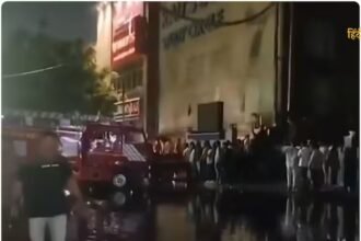 आलू की कीमतों को नियंत्रित (1)