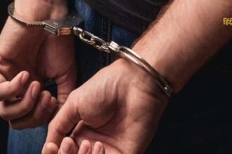 आलू की कीमतों को नियंत्रित (3)