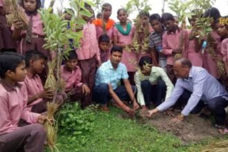 आलू की कीमतों को नियंत्रित (6)