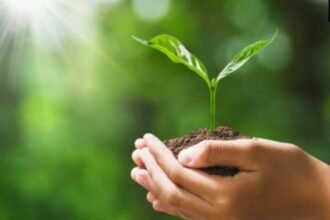 एक पौधा माँ के नाम'