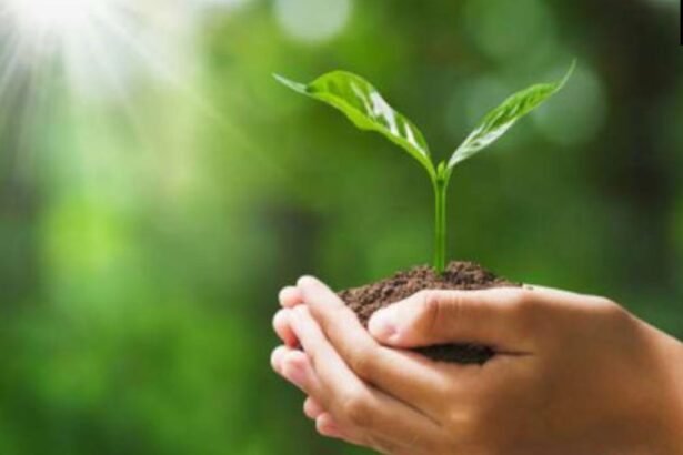 एक पौधा माँ के नाम'