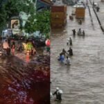 चंद्र कुमार ने (1)