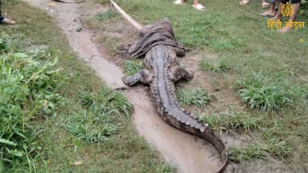 बगहा में गंडक नदी से निकले