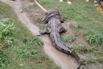 बगहा में गंडक नदी से निकले