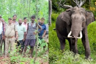 बगहा में गंडक नदी से निकले (4)