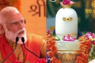 Untitled design (15)