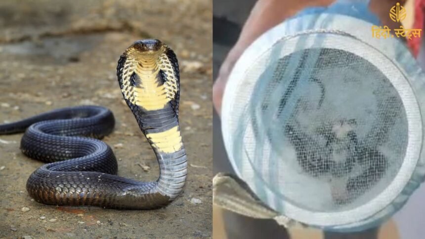 श्रावण मास के - 2024-07-25T110844.334