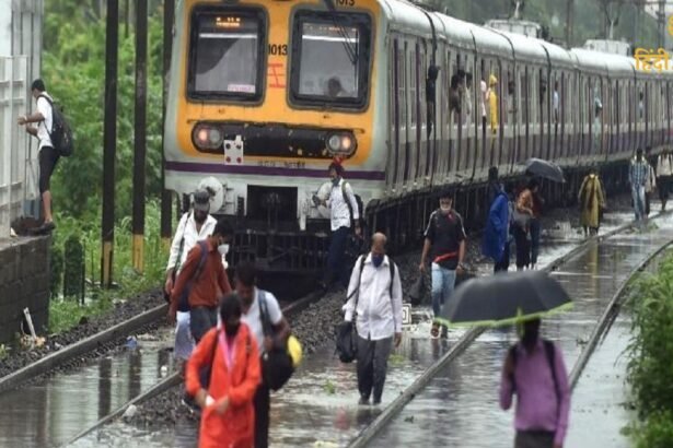 श्रावण मास के (91)