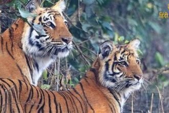 श्रावण मास के (92)