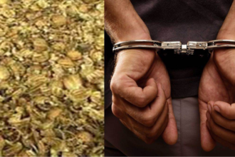 police-seizes-118-kilos-illegal-doda-chura-arrests-two