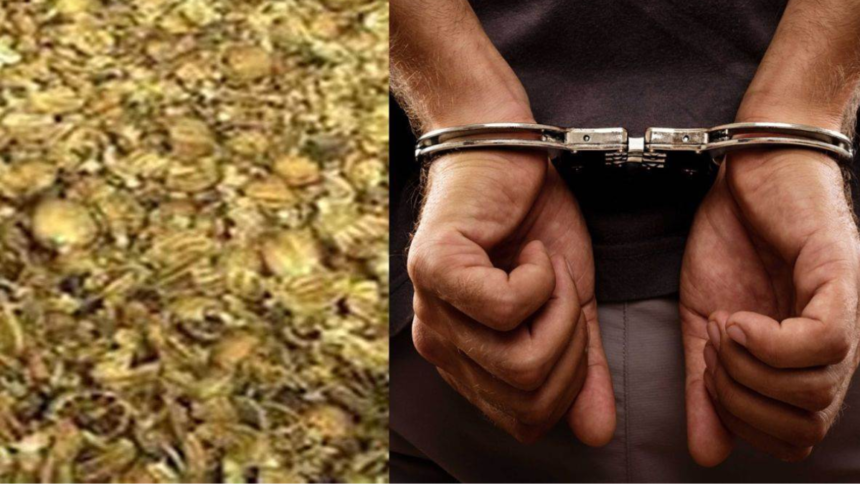 police-seizes-118-kilos-illegal-doda-chura-arrests-two