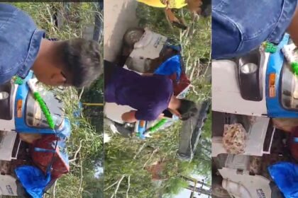 Kanpur: किदवई नगर शनि देव मंदिर के पास सड़क पर गिरा पेड़,