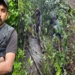 Kerala के जंगलों से चमत्कार