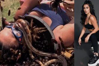 Krishna shroff 25 Years of Taal: