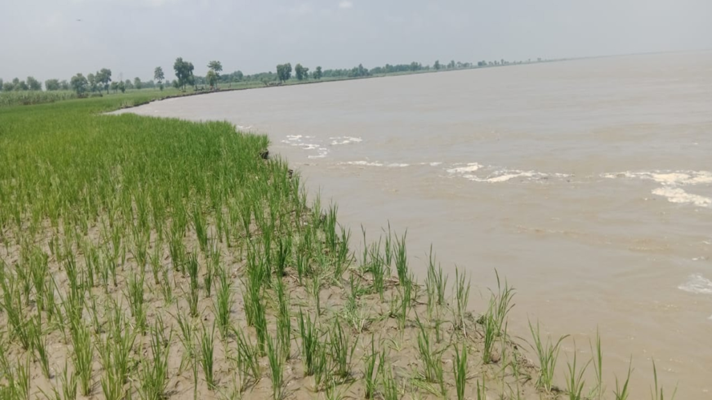 Lakhimpur Kheri