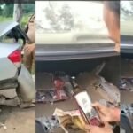 Mirzapur में हाई-प्रोफाइल शराब तस्करी! पुलिस चेकिंग के दौरान ब