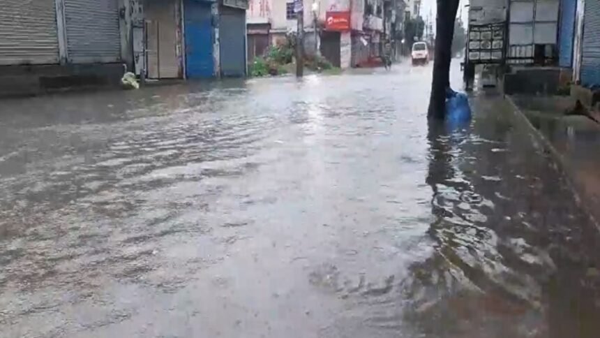 Narwana (3)