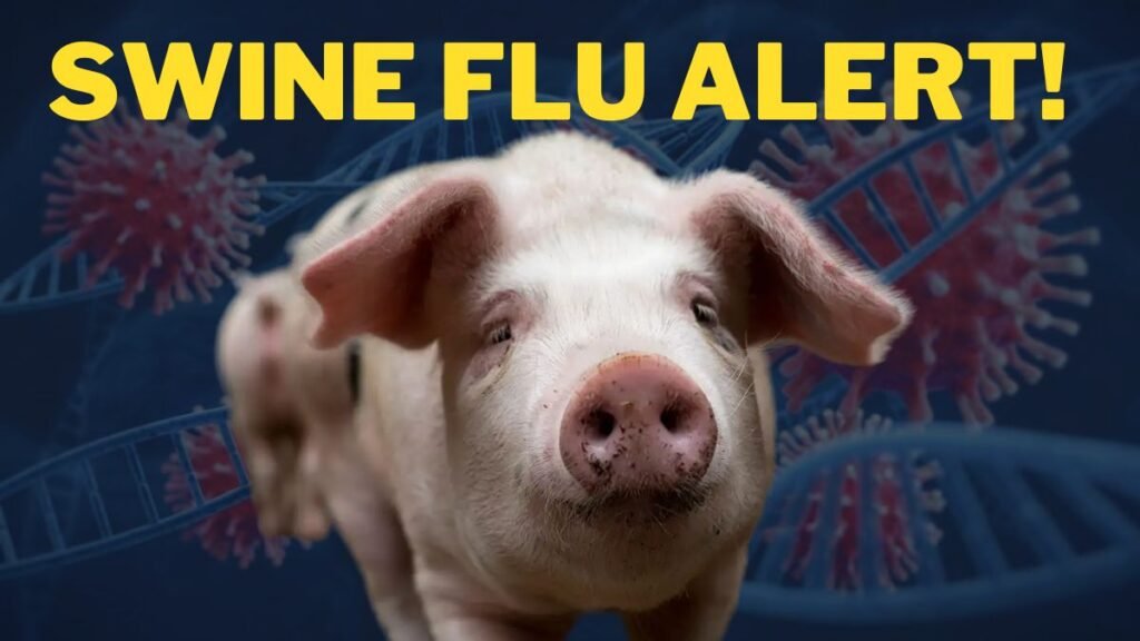 Swine-Flu