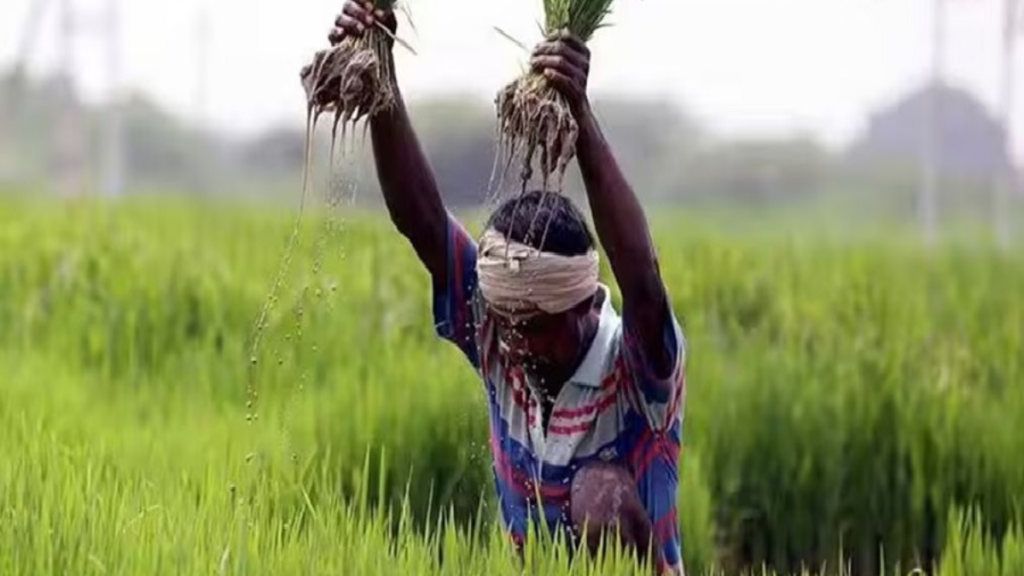 jharkhand-farmers-loan