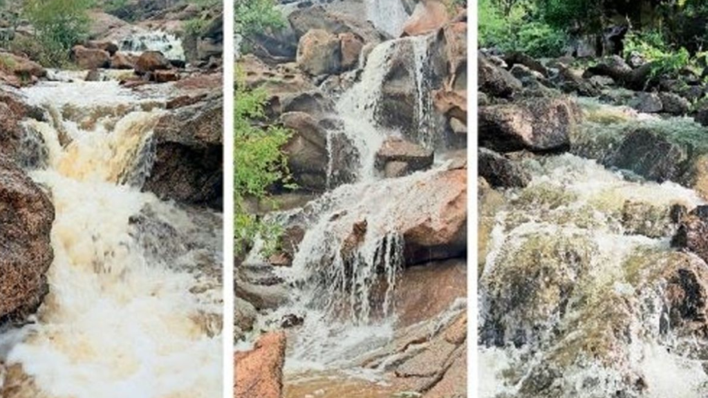 Untitled design (20)