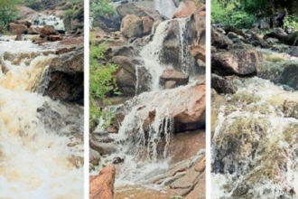 Untitled design (20)