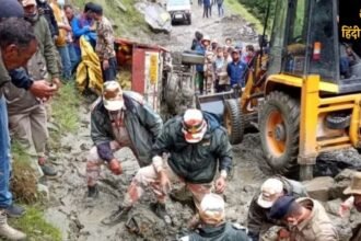 Untitled design - 2024-08-03T080945.942