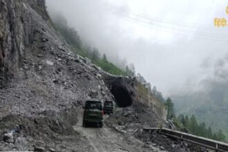 Untitled design - 2024-08-03T135400.098