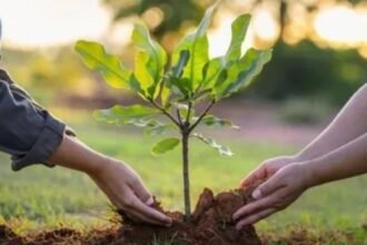 Untitled design - 2024-08-04T150825.277