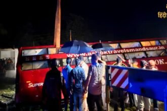 Untitled design - 2024-08-05T080954.284