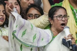 Untitled design - 2024-08-31T102552.953